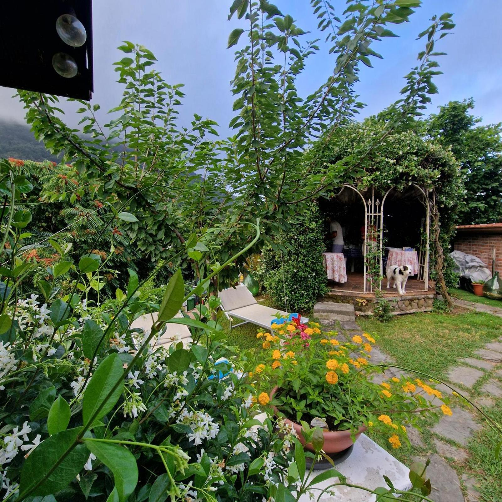 Jasmine Cottage Luni Exterior photo